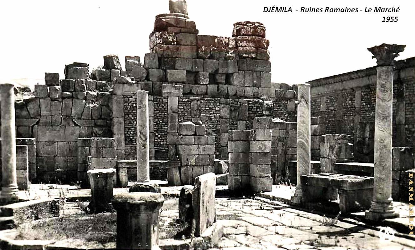Djemila - Ruines Romaines - Marche - 1955.jpg